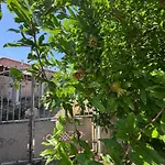 Holiday home Juizo Country