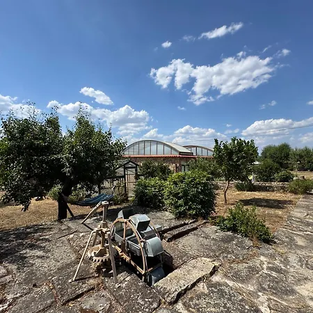 Juizo Country * Azevo