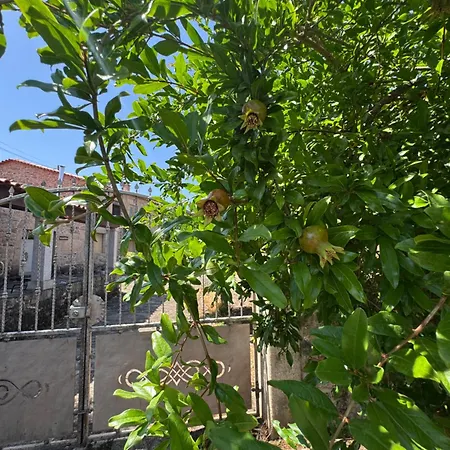 Vakantiehuis Juizo Country